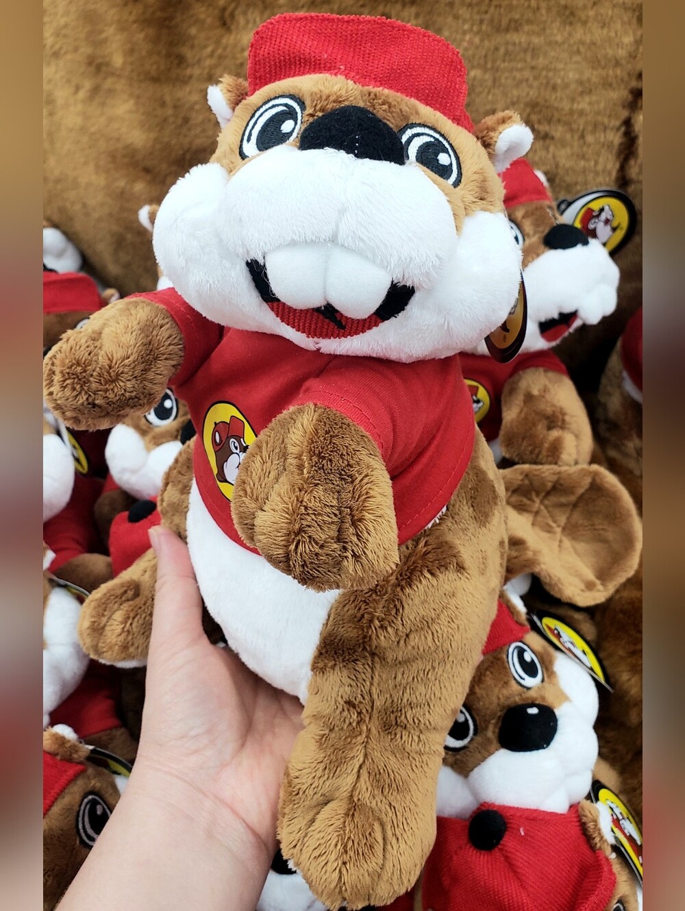 Cute Buc-ee's plush Beaver - Soft Toy